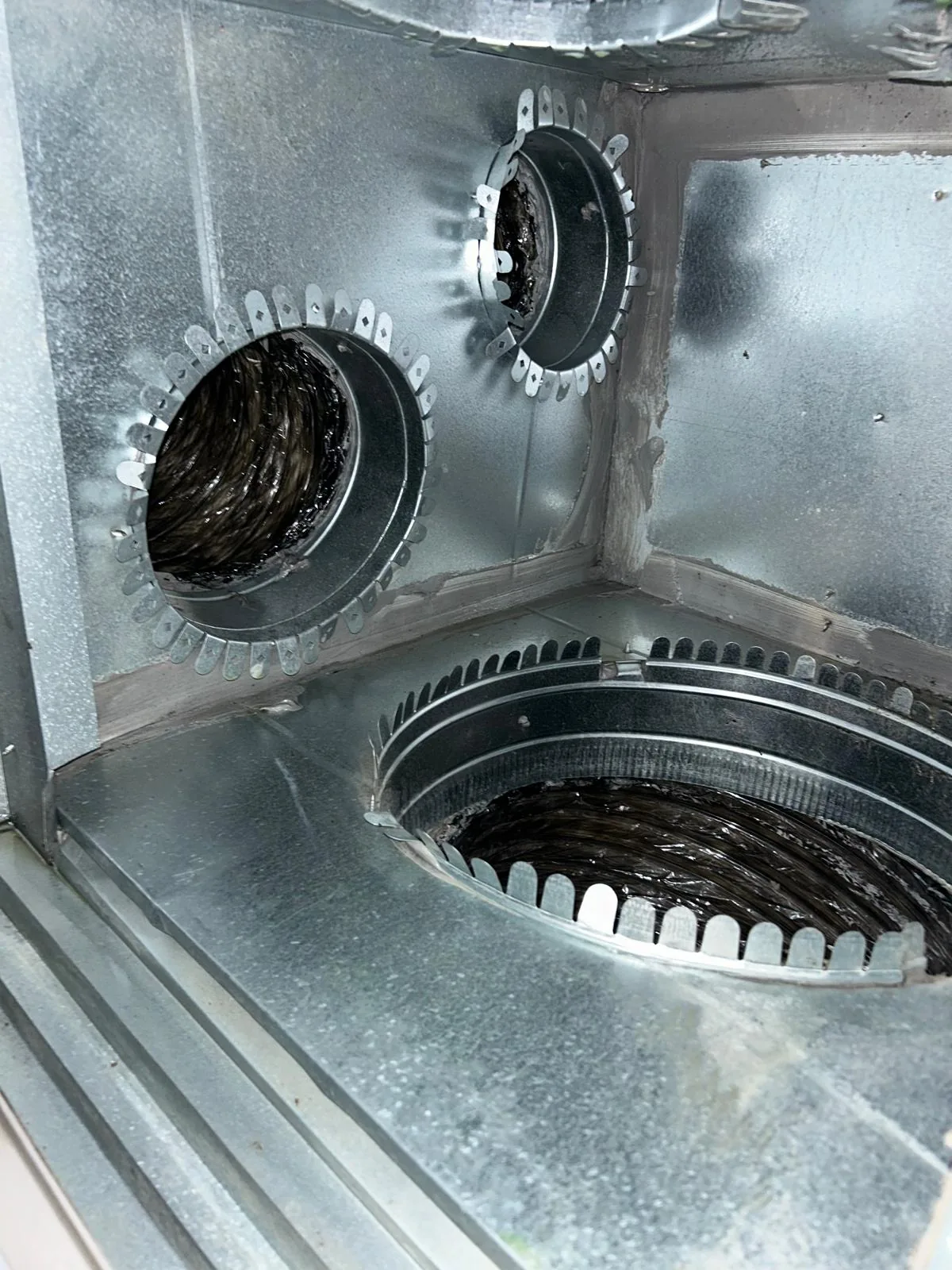 Camera Vent Inspection in Buda