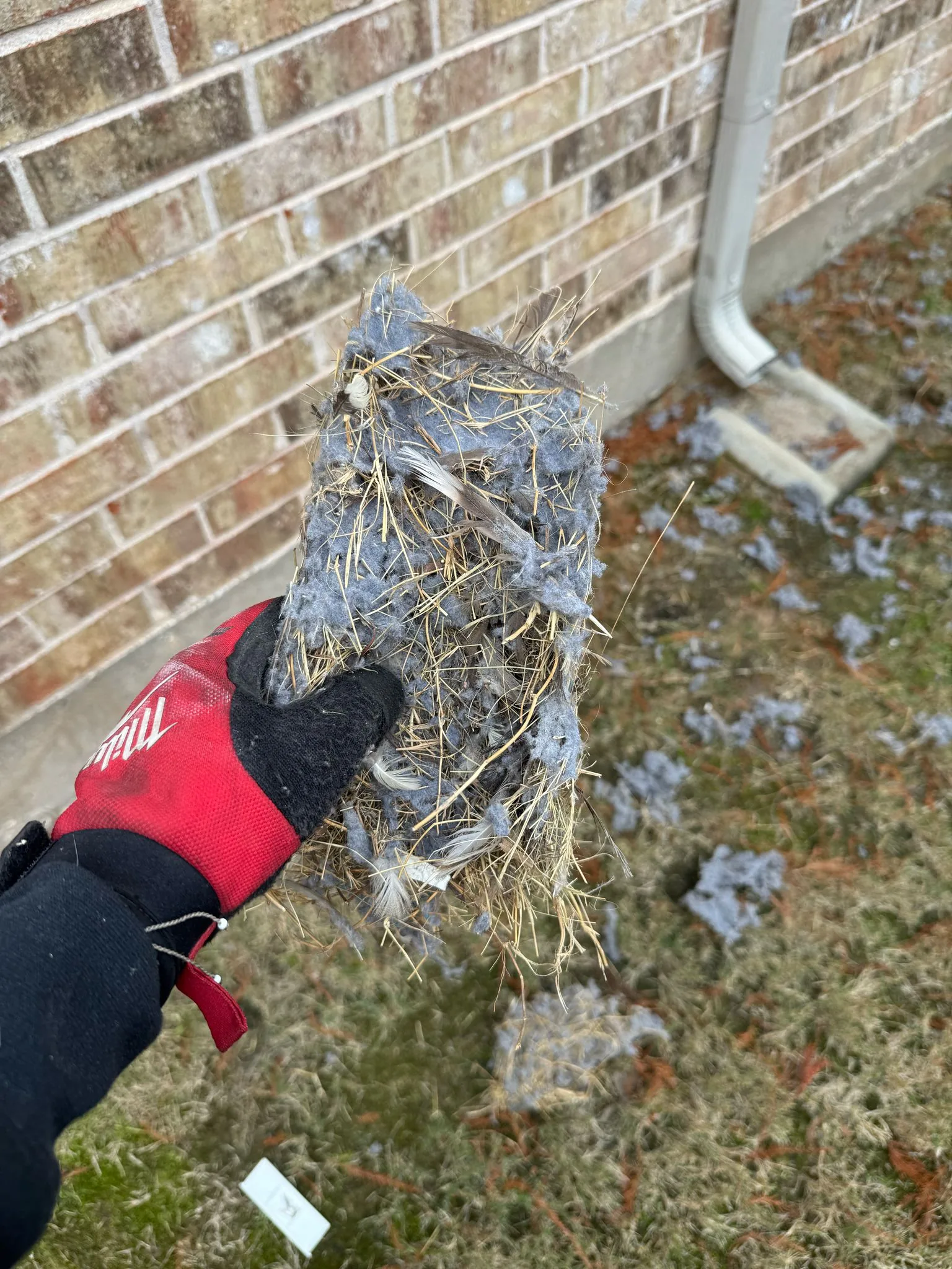 Roof Jack / Vent Cap Replacement