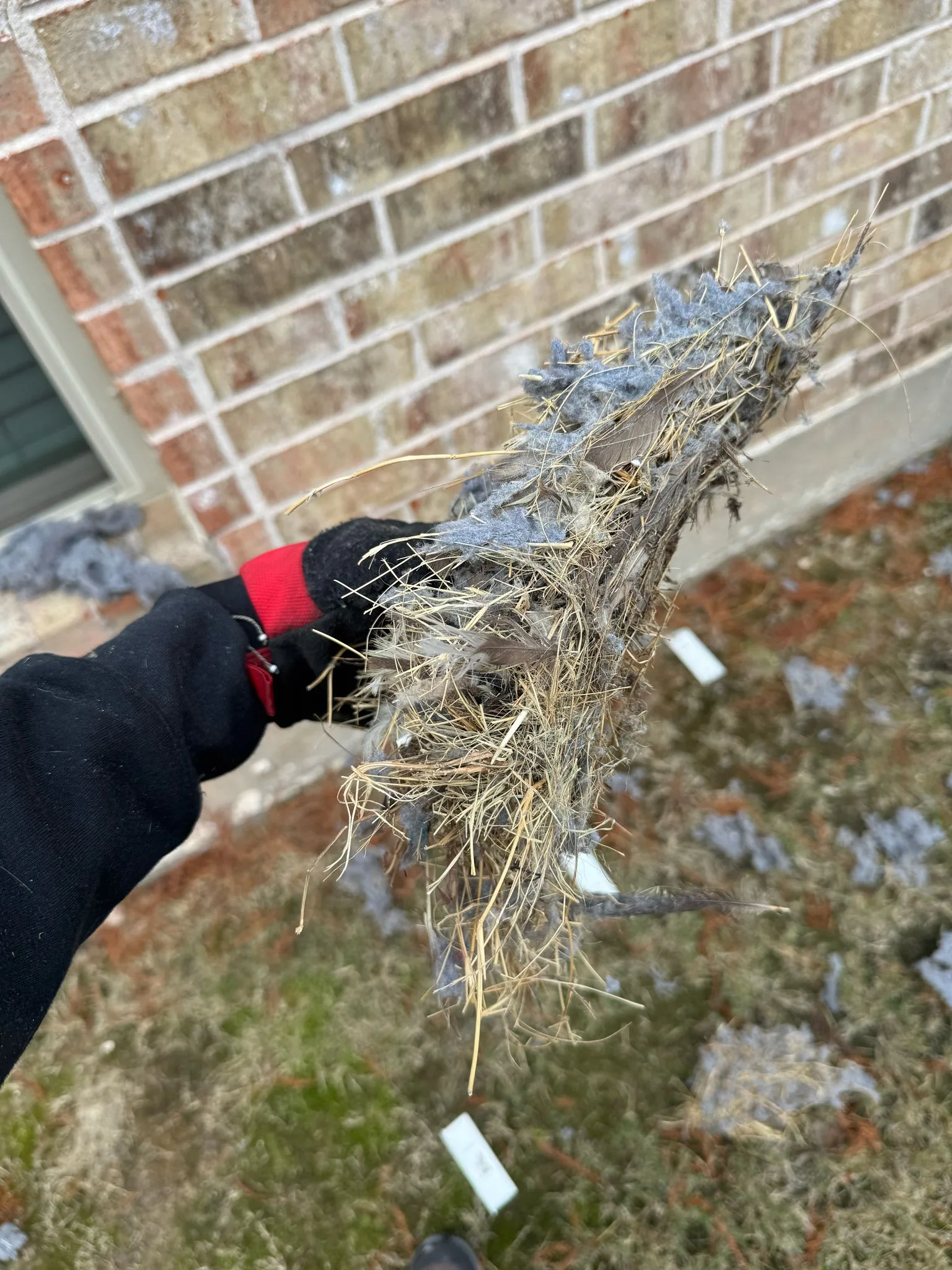 Wall Vent Cap Replacement